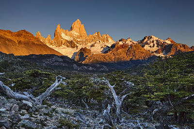Mount Fitz Roy glowing at sunrise with forest and rocky foreground in Patagonia, Argentina.