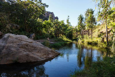 Palm-lined river oasis inside Isalo National Park, Madagascar