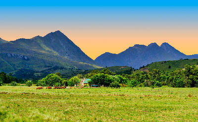 Green pastureland with cattle and a farmhouse below the Langeberg Mountains near Swellendam at sunset.
