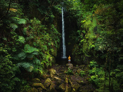 Levada do Risco