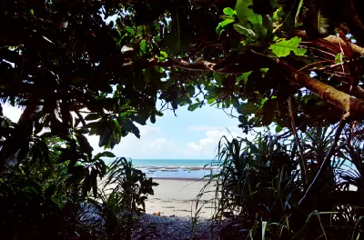 View through a dark, shaded canopy of tropical trees and leafy branches looking out onto a sandy beach and the calm waters of the Coral Sea.