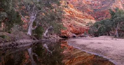 Sunrise light warms the red cliffs and eucalyptus trees of Ormiston Gorge, reflected in the calm water beside a sandy bank.