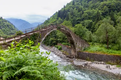 Old stone arch bridge crossing a fast-flowing mountain river surrounded by dense forest in Rize, Turkey.