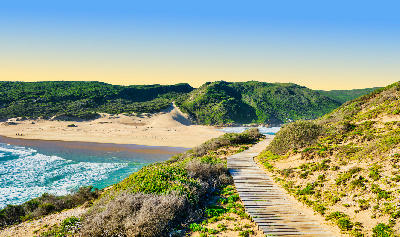 Boardwalk leading through dunes and coastal fynbos on Robberg Peninsula near Plettenberg Bay, South Africa.