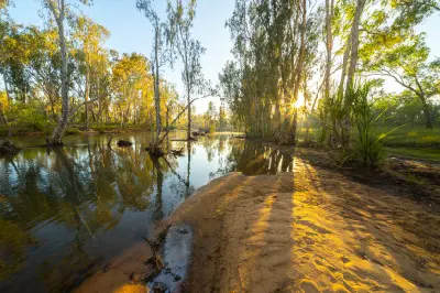 Early morning sunlight streams through riverside trees and reflects across the calm waters of the Drysdale River.