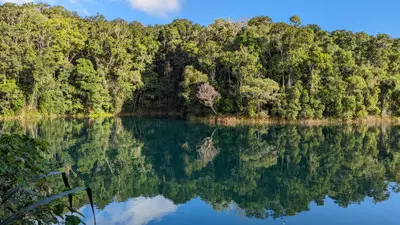 Rainforest trees reflected in the calm, dark-green waters of Lake Eacham beneath a blue sky in Queensland, Australia.