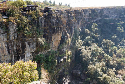 Visitor decks and adventure facilities perched on the rim of Graskop Gorge above a dense indigenous forest canyon in Mpumalanga, South Africa.