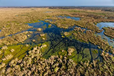 Aerial view of the winding channels, floodplains and islands of the Okavango Delta in Botswana.