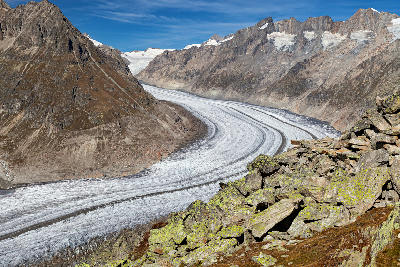 View from Bettmerhorn across the Great Aletsch Glacier winding between rugged alpine ridges in Valais, Switzerland.
