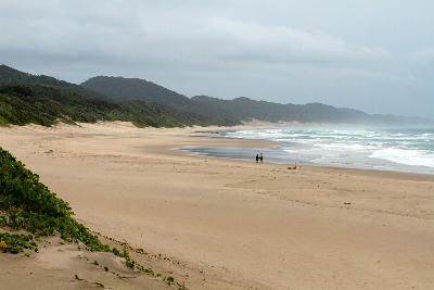 Wide sandy beach and forested coastal dunes at Cape Vidal in iSimangaliso Wetland Park, KwaZulu-Natal, South Africa.