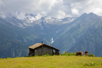 Highland house and grazing cattle overlooking steep green valleys and snow-streaked peaks in the Kaçkar Mountains, Turkey.