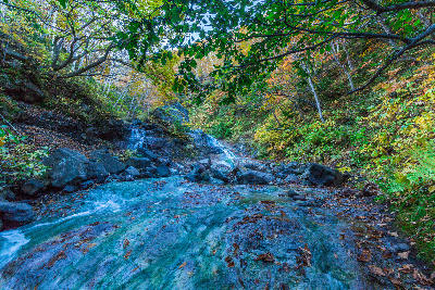 Shallow geothermal stream flowing over rocks through forested slopes with autumn foliage at Kamuiwakka Hot Falls in Shiretoko, Hokkaido, Japan.