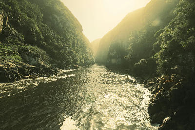 Sunlit view into Storms River Gorge with steep forested cliffs and the river flowing through the narrow canyon in Tsitsikamma.