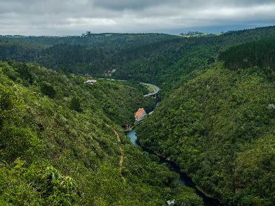 View from the Map of Africa Viewpoint above Wilderness, overlooking the forested Kaaimans River gorge and winding river valley on the Garden Route.