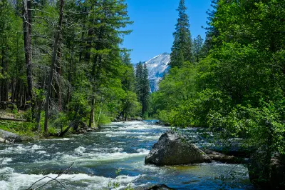 Merced River flowing through forest near El Portal in Yosemite National Park, California, during spring.
