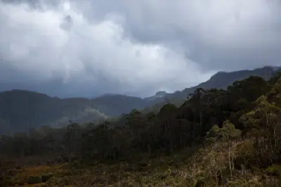 Low storm clouds and mist moving across forested mountains near Frenchmans Cap in Tasmania.