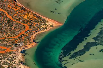 Aerial view of red tracks and coastal scrub beside vivid turquoise shallows and dark seagrass beds in Shark Bay.