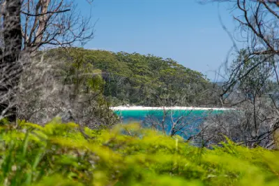 Turquoise water and white sand at Murrays Beach glimpsed through native bushland and trees in Booderee National Park.