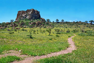 Sandstone rock formation surrounded by grassland and scattered baobab trees in Mapungubwe National Park, Limpopo, South Africa.