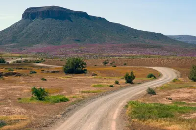 Gravel road passing through spring wildflowers near Nieuwoudtville on the Hantam plateau in South Africa.
