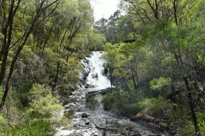 Beedelup Falls flowing through dense forest in Greater Beedelup National Park near Pemberton, Western Australia.