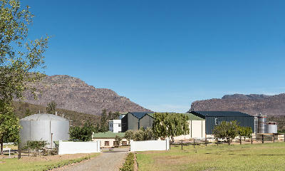Wine cellar buildings and vineyards near Barrydale with mountain landscapes in the background along Route 62 in the Western Cape, South Africa.