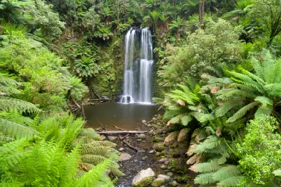Beauchamp Falls cascading into a forest pool surrounded by dense tree ferns in Victoria’s Otways.