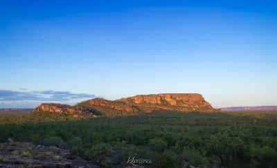 Wide sunset view of the orange sandstone cliffs and plateau of Burrungkuy (Nourlangie) rising above dense green woodland in Kakadu National Park, Northern Territory, Australia.