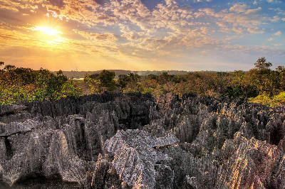 Golden sunset light illuminates the jagged limestone pinnacles of the Great Tsingy in Tsingy de Bemaraha National Park, Madagascar