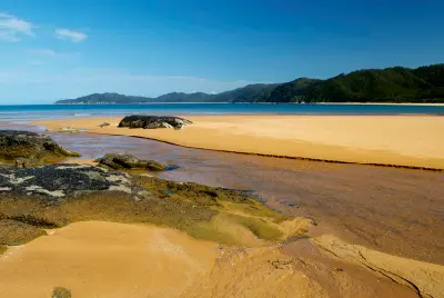 Tidal stream flowing across golden sand flats at low tide on Tōtaranui Beach in Abel Tasman National Park, New Zealand.