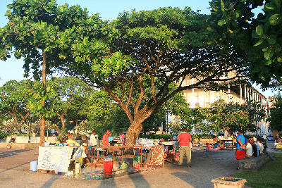 Food vendors setting up stalls beneath large shade trees in Forodhani Gardens, Stone Town, Zanzibar, before the evening market.