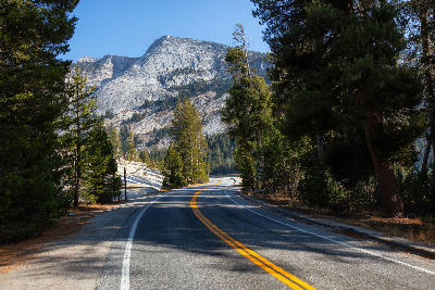 Curving Tioga Pass Road through pine forest with granite domes rising in Yosemite National Park, California.