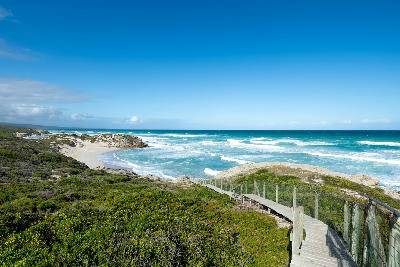 Boardwalk through coastal vegetation overlooking dunes and turquoise ocean at De Hoop Nature Reserve in the Western Cape, South Africa.