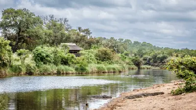 Nile crocodiles resting on a sandy riverbank in Southern Kruger National Park, South Africa.
