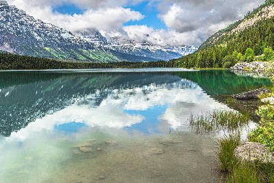 Waterfowl Lake reflecting Mount Chephren and surrounding forest, Banff National Park, Alberta, Canada
