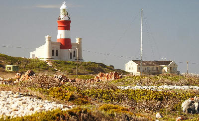 Cape Agulhas Lighthouse rising above coastal fynbos and dunes at the southernmost point of Africa, South Africa.