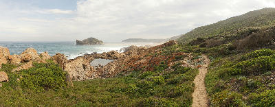 Hiking trail through coastal fynbos overlooking rocky shoreline and ocean views in Robberg Nature Reserve, South Africa.