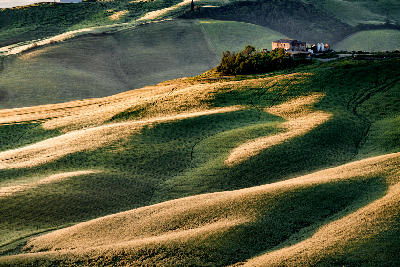 Rolling hills near Podere Terrapille farmhouse in Val d’Orcia, Tuscany, Italy.