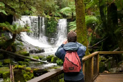 Tourist standing beside Horseshoe Falls surrounded by dense green rainforest in Mount Field National Park, Tasmania.