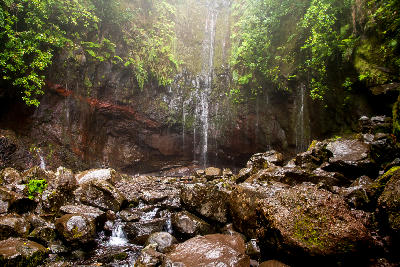 Thin waterfalls trickling down a fern-covered rock wall at 25 Fontes in the Rabaçal valley on Madeira Island, Portugal.