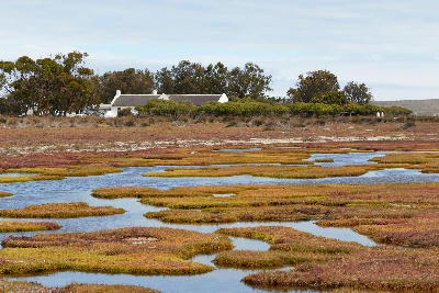 Geelbek Manor, a historic Cape Dutch building complex, viewed across colourful tidal salt marshes and winding channels in West Coast National Park, South Africa.