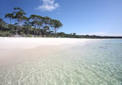 Crystal-clear shallow water meets the bright white sand of Green Patch Beach, backed by native coastal forest.