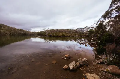 Calm Lake Dobson surrounded by pandani, forest and native highland vegetation in Mount Field National Park, Tasmania.