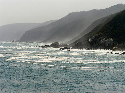 Misty coastal cliffs and rocky shoreline along the Tsitsikamma Coast in South Africa.
