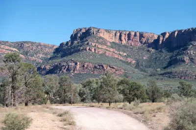 Dirt road approaching the rugged red sandstone cliffs of Wilpena Pound, with eucalyptus trees and dry grassland in the Flinders Ranges, South Australia.