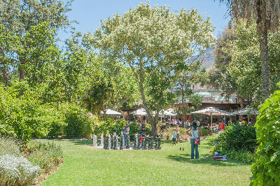 Children playing chess on a large outdoor chessboard in Company’s Garden in central Cape Town.