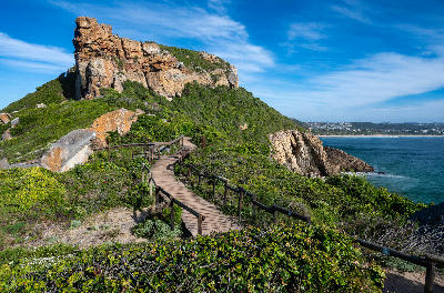 Wooden boardwalk leading through coastal vegetation and cliffs in Robberg Nature Reserve, South Africa.