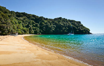 Curving golden beach and turquoise water at Te Pukatea Bay in Abel Tasman National Park, New Zealand.