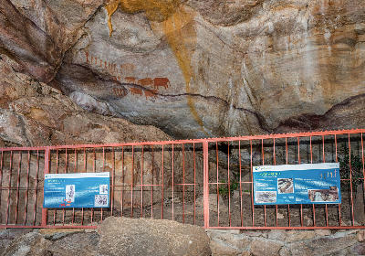 San elephant and human rock paintings preserved inside the protected Stadsaal Cave Rock Art Site in the Cederberg Mountains, Western Cape, South Africa.