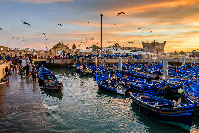 Traditional blue fishing boats inside Essaouira Harbour at sunrise on Morocco’s Atlantic coast